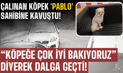 Çalınan Köpek 'Pablo' Sahibine Kavuştu!