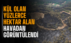Kül olan yüzlerce hektar alan havadan görüntülendi