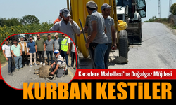 Doğalgaz çalışmasına kurban kestiler