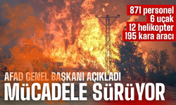 AFAD’dan Geyve-Osmaneli Orman Yangınına İlişkin Açıklama
