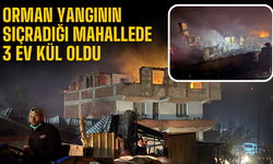 Sakarya Geyve’de Orman Yangını Mahalleye Sıçradı: 3 Ev Kül Oldu!