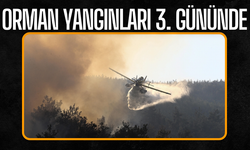 Bursa ve Kahramanmaraş'taki Orman Yangınları 3. Gününde: Müdahale Sürüyor