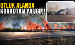 Akyazı'da otluk alanda korkutan yangın!