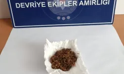 Peçeteye Sarılı Tütün Ele Geçirildi