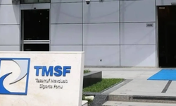 TMSF'den İki Dev Satış: Akfel Gaz Grubu ve İstikbal Mobilya İhaleye Çıkıyor