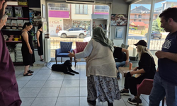 Kaybolan Pufi Çipi Sayesinde Sahiplerine Döndü