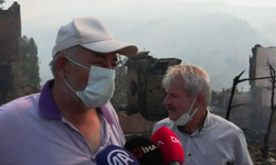 Geyve’deki Orman Yangınında Evler ve Ahırlar Kül Oldu