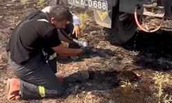 Bolu Dörtdivan'da Anız Yangınına müdahale