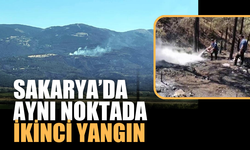 Sakarya'da Korkutan Yangın Yeniden Alevlendi