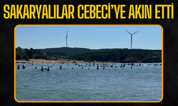 Deniz Duruldu, Sakaryalılar Cebeci Plajı’na Akın Etti!