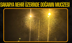 Sakarya Nehri Üzerinde Doğanın Mucizesi