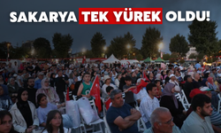 Sakarya'da Milletin Direnişi Unutulmadı