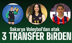 Sakarya Voleybolda transfer atağı