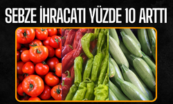 Sebze ihracatı arttı!