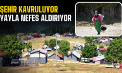 Sakarya’da Kavurucu Sıcaklardan Kaçış: Vatandaşların Tercihi Dikmen Yaylası Oldu