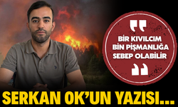 Serkan Ok’tan “Yeşilimize Sahip Çıkalım” Çağrısı