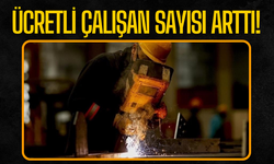Ücretli Çalışan Sayısı Arttı