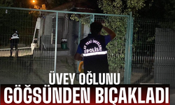 Aile İçi Şiddet: Üvey Oğlunu Göğsünden Bıçakladı