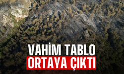 Sakarya'da Küle Dönen Alanlar Havadan Görüntülendi