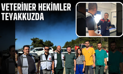 Sakarya’daki Yangınlarda Veteriner Hekimler Teyakkuzda: Can Dostlar İçin Sahadalar
