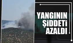 Orman yangınında şiddet azaldı