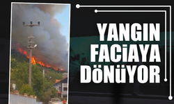 Karaçam'da Orman Yangını felakete dönüşüyor!