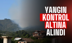 Sakarya'daki Alevler Kontrol Altına Alındı