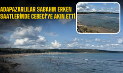 Adapazarlılar Sabahın Erken Saatlerinde Cebeci'ye Akın Etti