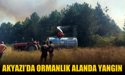 Akyazı’da Ormanlık Alanda Yangın