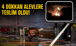Bilinçsizce Yakılan Ateş 4 Dükkanı Küle Çevirdi: Faciadan Dönüldü