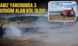 Kaynarca’da Anız Yangını: 3 Dönüm Alan Kül Oldu