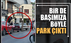 Park sorununa bir  yenisi daha eklendi!