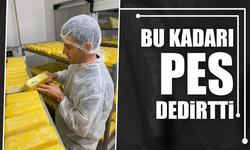Sakarya’da Süt Ürünlerinde Skandal