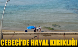 Sakaryalıların Tercihi Cebeci’de Büyük Hayal Kırıklığı!