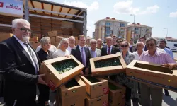 Çiftçilere 5 yılda 70 milyon fide desteği