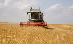 Çiftçiye Destek, Kent Lokantalarına Tasarruf