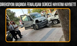 Hendek’te direksiyon başında fenalaşan sürücü hayatını kaybetti