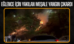 Eğlence için yakılan meşale yangın çıkardı
