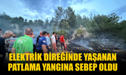 Elektrik Direğindeki Patlama Yangına Neden Oldu