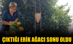 Çıktığı erik ağacı sonu oldu