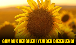 Ayçiçeği Tohumu ve Yağında Gümrük Vergileri Yeniden Düzenlendi