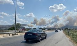 GÜNCELLEME 2 - Çanakkale'de tarım arazisinde başlayıp ormana sıçrayan yangına müdahale ediliyor