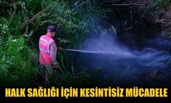 Serdivan’da Halk Sağlığı İçin Kesintisiz İlaçlama Çalışmaları
