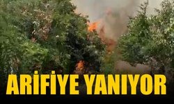 Arifiye Yanıyor! Tahliyeler başladı…