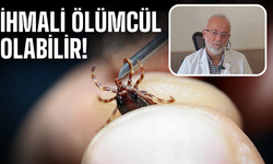 İhmali Ölümcül Olabilir! Prof. Dr. Aziz Öğütlü’den Kırım Kongo Uyarısı