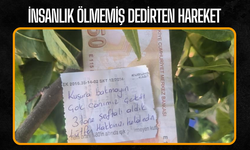 İnsanlık ölmemiş dedirten hareket