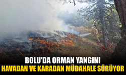 Bolu'da orman yangını: Havadan ve karadan müdahale sürüyor