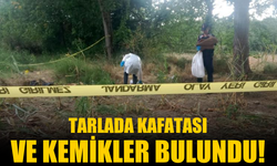 Akıl almaz olay! Tarlada kafa tası ve kemikler bulundu...