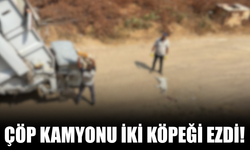 Karapürçek’te Çöp Kamyonu İki Köpeği Ezdi
