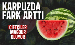 Üretici ve Market Fiyatları Arasındaki Fark Karpuzda %613'ü Aştı